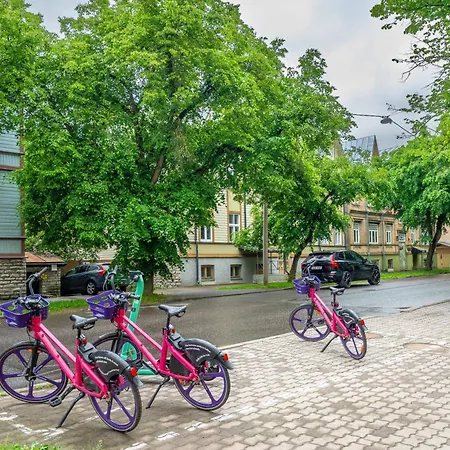 Peaceful Garden View In Lovely Kadriorg Apartman